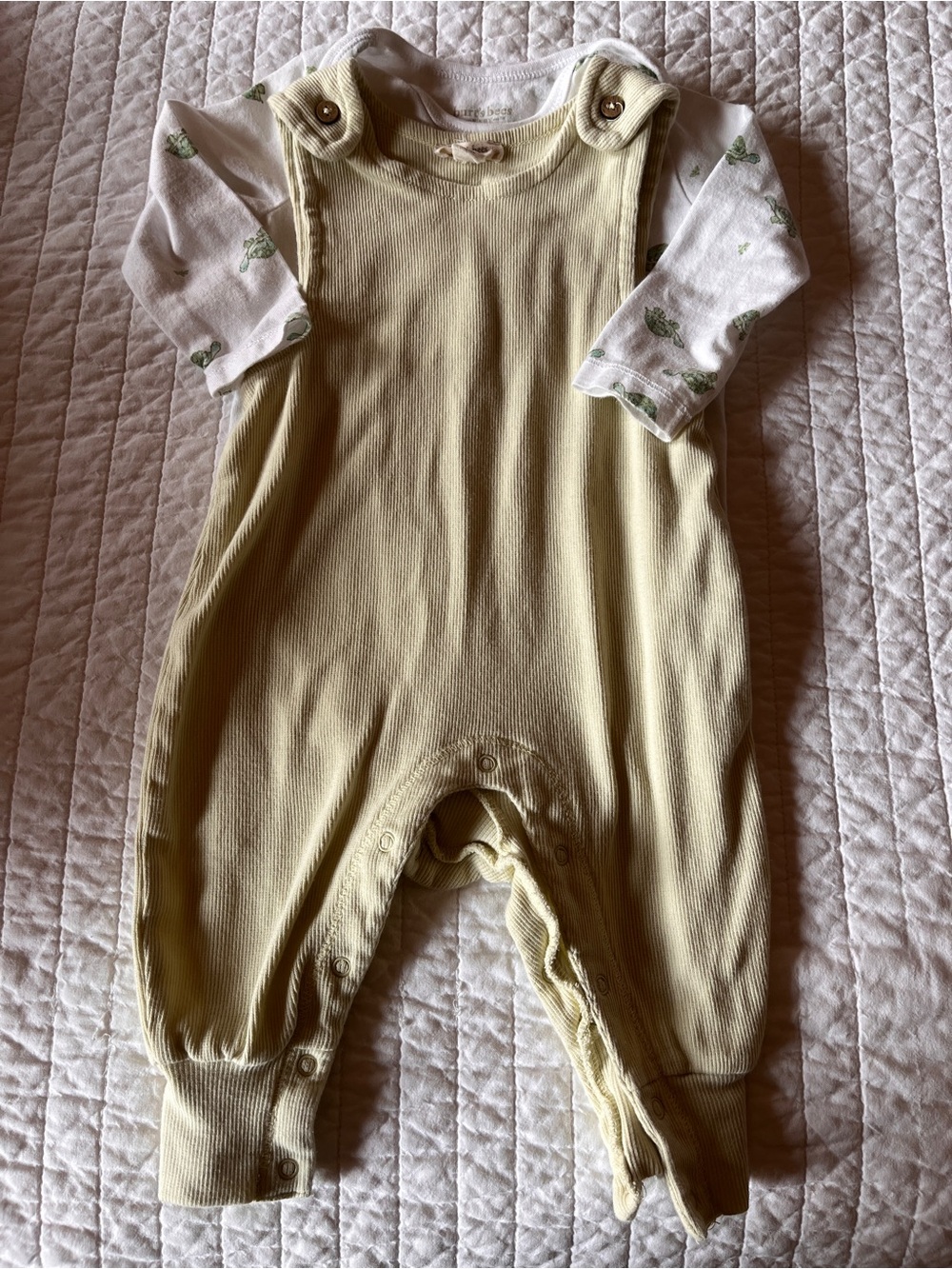Burt's Bees Pale Green Turtle Ribbed One-Piece Romper